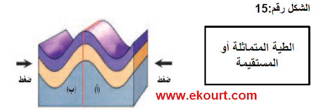 الجغرافيا التاريخ والحضارة